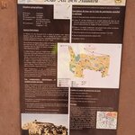 Photo taken by Roni E