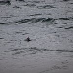 Photo taken by Amanda Z