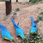 Photo taken by Ramnik B