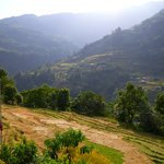 Photo taken by Peter M