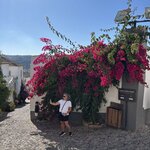 Photo taken by Lisa G