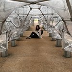 Open Air Museum | Photo taken by Naomi B