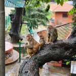 Photo taken by Gail A