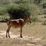 Photo taken by Michael L