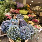 Photo taken by Susan W