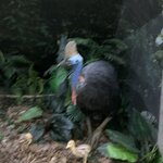 Photo taken by Julie H