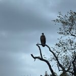 Photo taken by Sushma S
