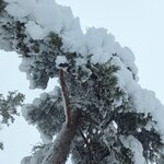 Photo taken by Monique V