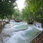 Photo taken by Stephen B