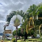 Photo taken by Diane S