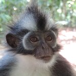 Photo taken by Matteo R