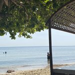 Photo taken by Bincy P