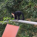 Photo taken by Mordechay T