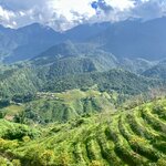 Photo taken by Vanessa V