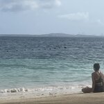 Photo taken by Miranda M