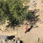 Photo taken by Shawn G