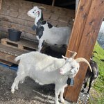 Photo taken by Grace S