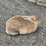 Photo taken by Zulhelmi R