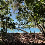 Photo taken by Susan D