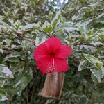 Photo taken by Ciarra N