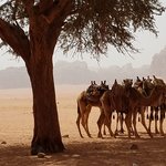 Photo taken by Beata p