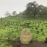 Photo taken by ted m