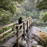 Photo taken by Sharon P