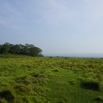 Photo taken by Emily K