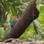 Photo taken by Darcy M