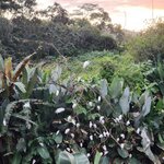 Photo taken by Tenley G