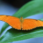 Photo taken by Graeme W