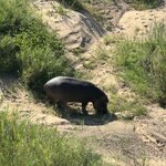 Photo taken by Christopher F