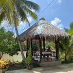 Photo taken by Jacqui O