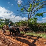 Photo taken by Tack S