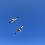 Photo taken by Susan K