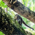 Photo taken by Brett F