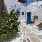 Photo taken by Marcie M