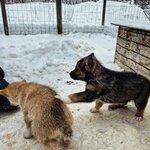 Photo taken by Caitlin P