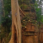 Photo taken by Jose C