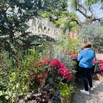 Photo taken by Janice W