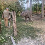 Photo taken by Dee M