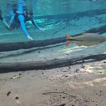 Photo taken by Adriene A