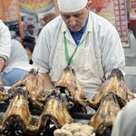 Photo taken by Tiffany M