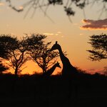 Photo taken by Joaquin M