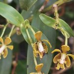 Photo taken by Kathy K