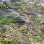 Photo taken by PADMABEN P