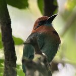 Photo taken by Sarah C