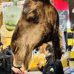 Photo taken by Colin M