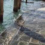 Photo taken by Stacey N