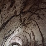 Photo taken by Elise C